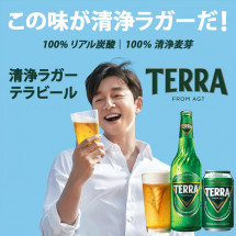 [jinro] テラビール(瓶ビール・500ml×1本) TERRA 眞露ビール