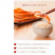[冷]日本産生生白菜カブキムチ5kg